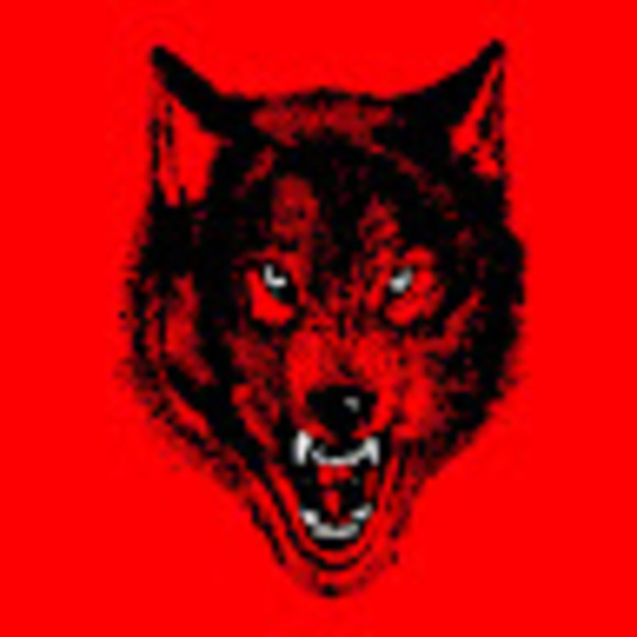 the_wolfpack
